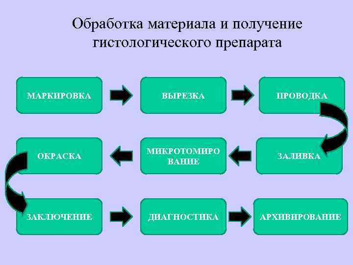Обработка материала и получение гистологического препарата МАРКИРОВКА ВЫРЕЗКА ПРОВОДКА ОКРАСКА МИКРОТОМИРО ВАНИЕ ЗАЛИВКА ЗАКЛЮЧЕНИЕ
