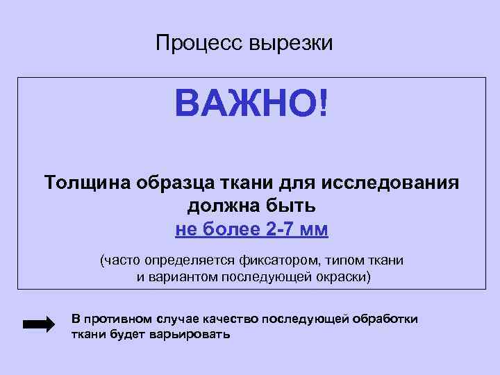 Процесс вырезки ВАЖНО! Толщина образца ткани для исследования должна быть не более 2 -7