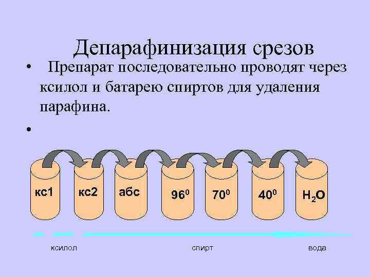 Депарафинизация срезов • Препарат последовательно проводят через ксилол и батарею спиртов для удаления парафина.