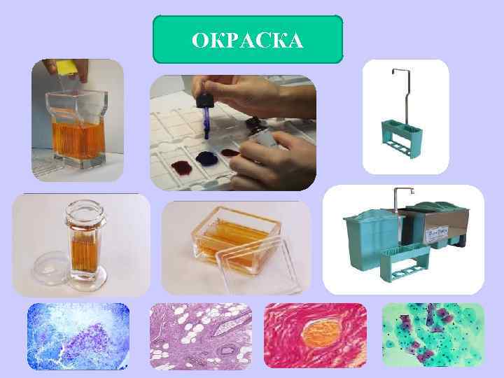 ОКРАСКА 