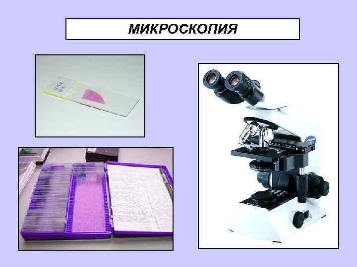 МИКРОСКОПИЯ 