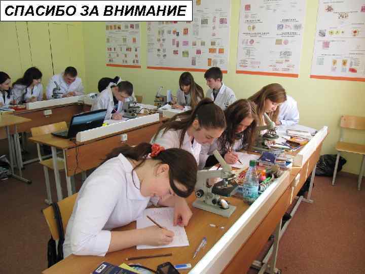 СПАСИБО ЗА ВНИМАНИЕ 