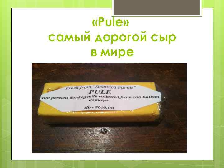  «Pule» самый дорогой сыр в мире 