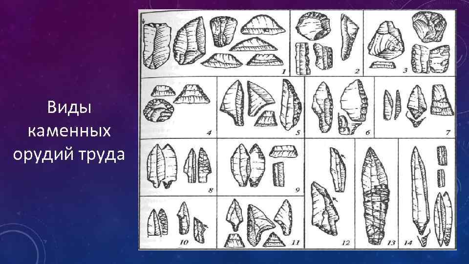 Виды каменных орудий труда 