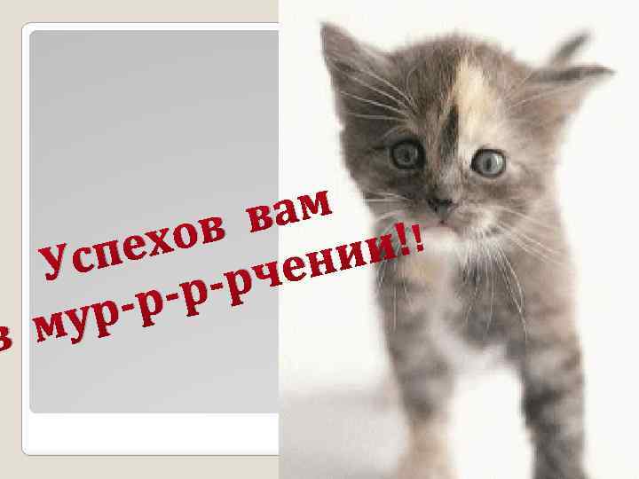 вам !! ов пех ии с У чен р-р -рур в м 