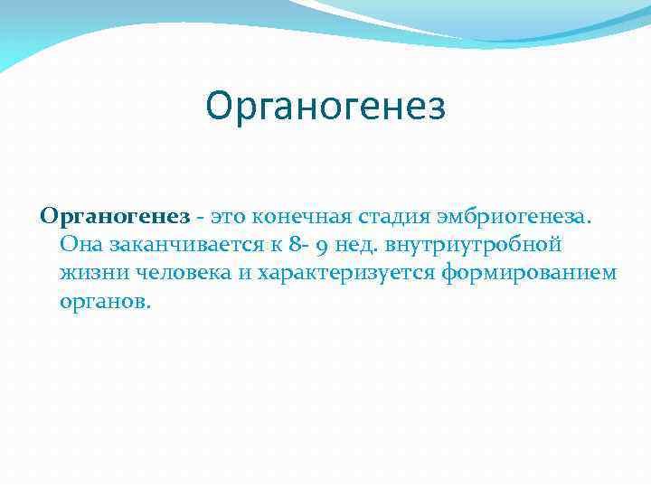 Органогенез. Органогенез кратко. Органогенез человека кратко. Органогенез определение.