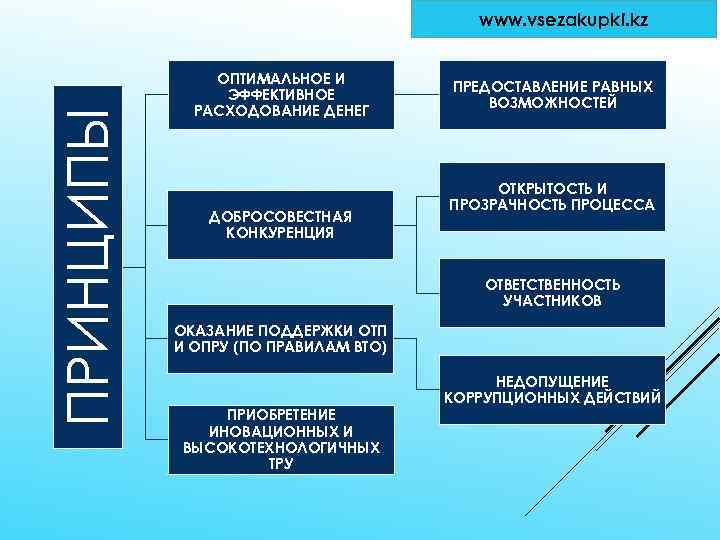 ПРИНЦИПЫ www. vsezakupki. kz ОПТИМАЛЬНОЕ И ЭФФЕКТИВНОЕ РАСХОДОВАНИЕ ДЕНЕГ ДОБРОСОВЕСТНАЯ КОНКУРЕНЦИЯ ПРЕДОСТАВЛЕНИЕ РАВНЫХ ВОЗМОЖНОСТЕЙ