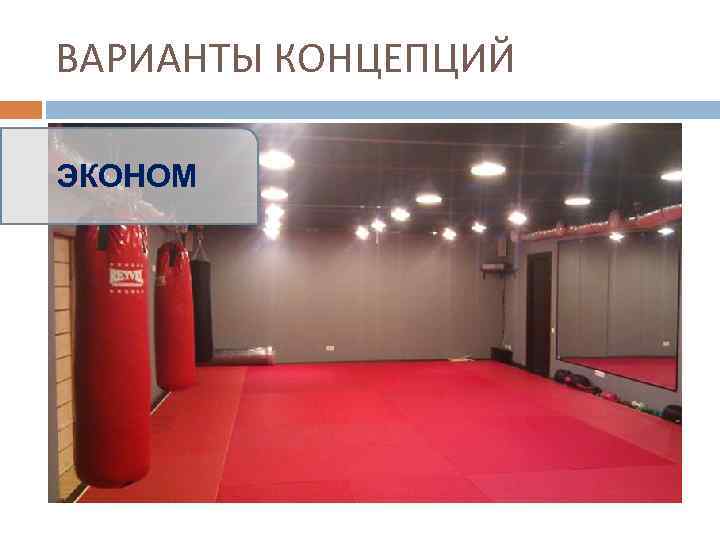 ВАРИАНТЫ КОНЦЕПЦИЙ ЭКОНОМ 