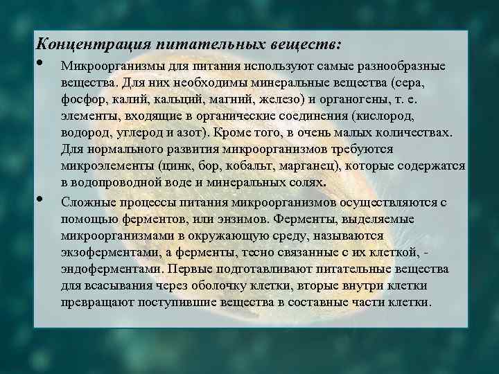 Концентрация питательных веществ: • • Микроорганизмы для питания используют самые разнообразные вещества. Для них