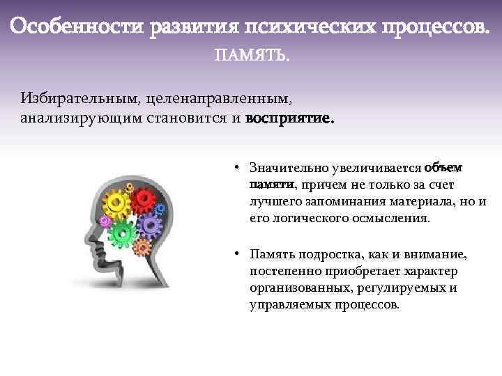 Особенности развития психических процессов. ПАМЯТЬ. Избирательным, целенаправленным, анализирующим становится и восприятие. • Значительно увеличивается