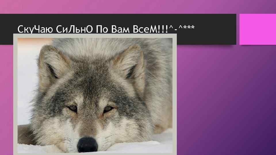 Ску. Чаю Си. Льн. О По Вам Все. М!!!^-^*** 