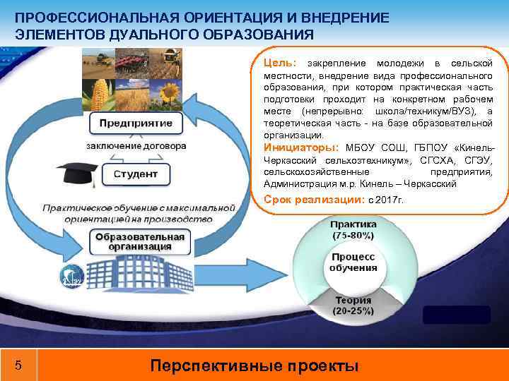 ПРОФЕССИОНАЛЬНАЯ ОРИЕНТАЦИЯ И ВНЕДРЕНИЕ ЭЛЕМЕНТОВ ДУАЛЬНОГО ОБРАЗОВАНИЯ Цель: закрепление молодежи в сельской местности, внедрение