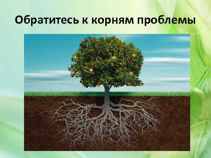 Обратитесь к корням проблемы 