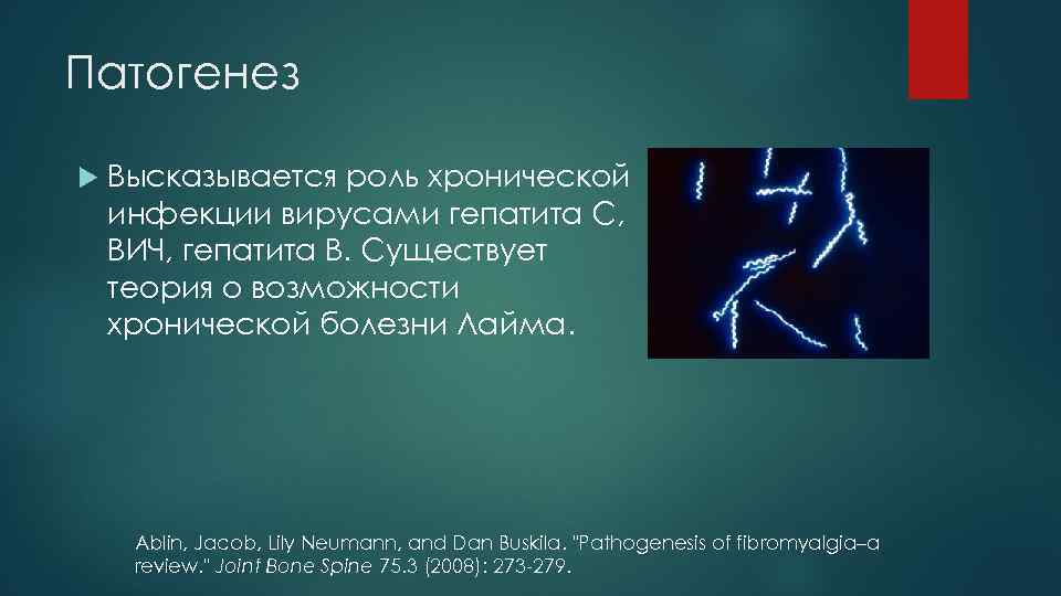 Патогенез Высказывается роль хронической инфекции вирусами гепатита С, ВИЧ, гепатита В. Существует теория о