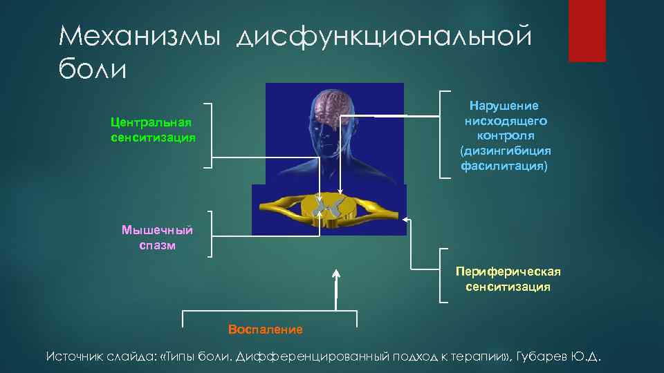 Механизмы дисфункциональной боли Нарушение нисходящего контроля (дизингибиция фасилитация) Центральная сенситизация Мышечный спазм Периферическая сенситизация