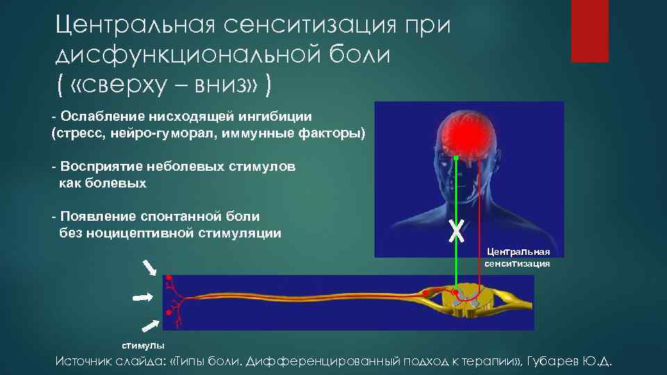 Центральная сенситизация при дисфункциональной боли ( «сверху – вниз» ) - Ослабление нисходящей ингибиции