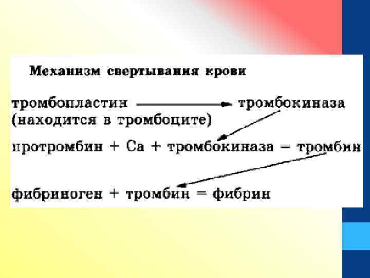 Сестринский процесс при синдроме кровотечение