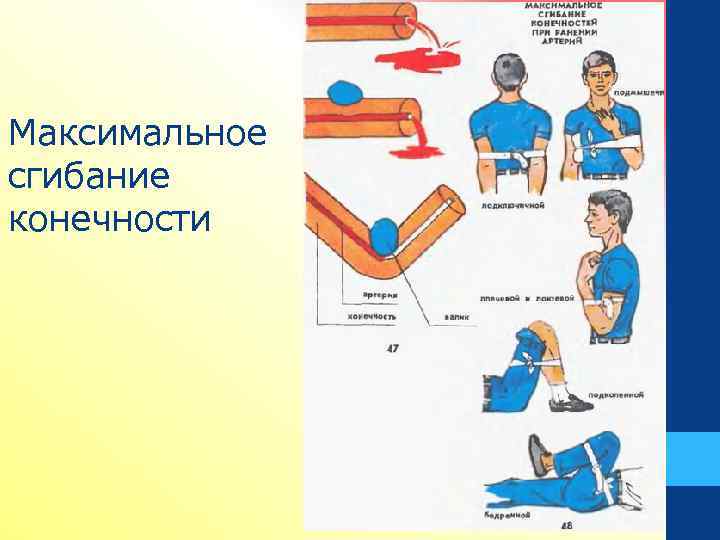 Максимальное сгибание конечности 