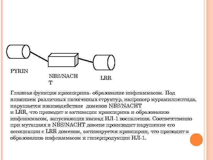 PYRIN NBS/NACH T LRR Главная функция криопирина- образование инфламмасом. Под влиянием различных патогенных структур,