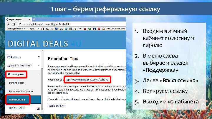 1 шаг – берем реферальную ссылку 1. Входим в личный кабинет по логину и