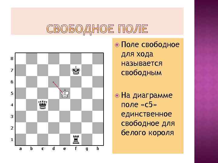  Поле свободное для хода называется свободным На диаграмме поле «с5» единственное свободное для