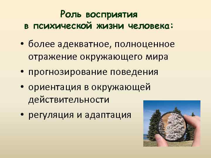 Роль восприятия в психической жизни человека: • более адекватное, полноценное отражение окружающего мира •