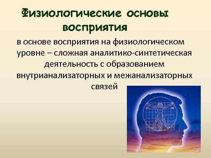Физиологические основы восприятия в основе восприятия на физиологическом уровне – сложная аналитико-синтетическая деятельность с