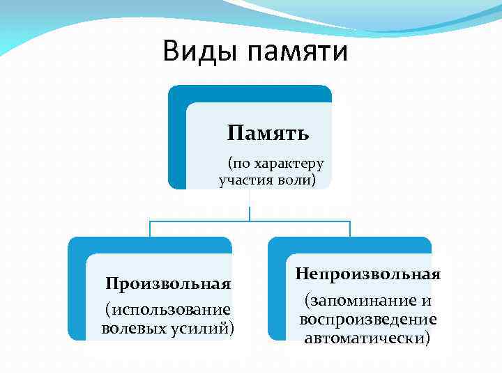 Виды памяти Память (по характеру участия воли) Произвольная (использование волевых усилий) Непроизвольная (запоминание и