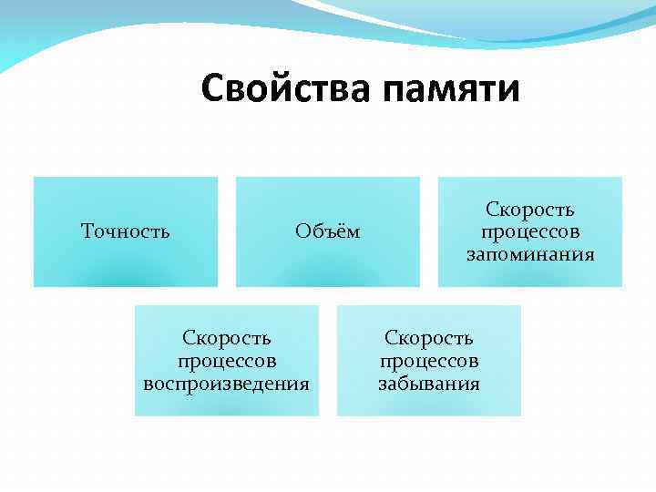 Свойства памяти Точность Объём Скорость процессов воспроизведения Скорость процессов запоминания Скорость процессов забывания 