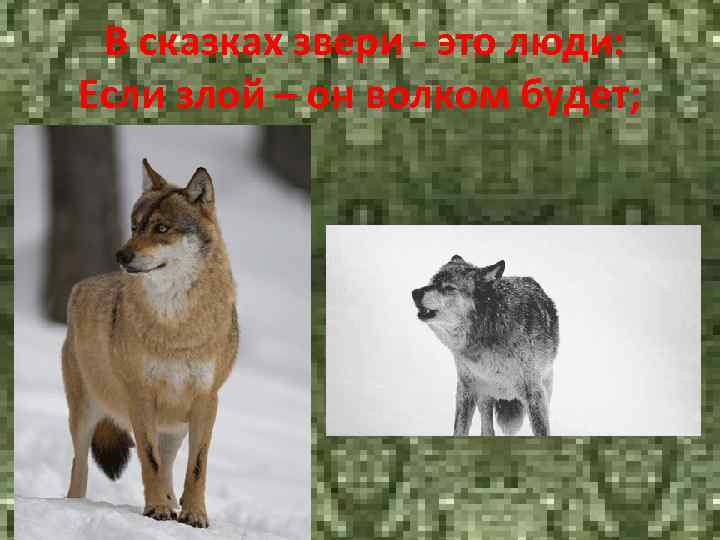 В сказках звери - это люди: Если злой – он волком будет; 