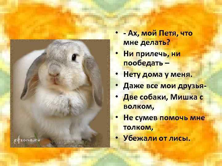  • - Ах, мой Петя, что мне делать? • Ни прилечь, ни пообедать