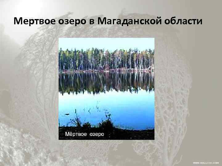 Мертвое озеро в Магаданской области 