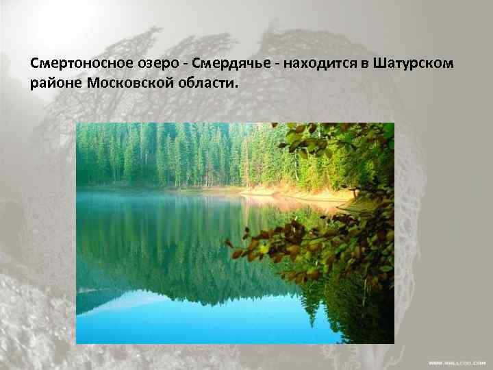 Смертоносное озеро - Смердячье - находится в Шатурском районе Московской области. 
