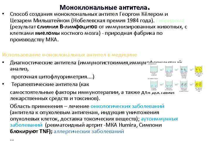 Моноклональные антитела. • Способ создания моноклональных антител Георгом Кёлером и Цезарем Мильштейном (Нобелевская премия