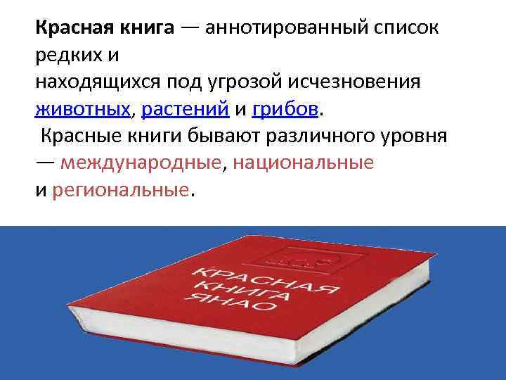 Красная книга — аннотированный список редких и находящихся под угрозой исчезновения животных, растений и