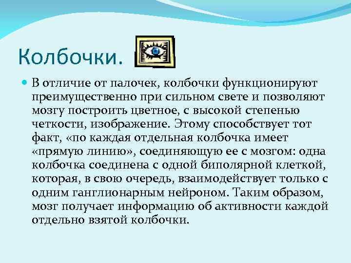 Колбочки. В отличие от палочек, колбочки функционируют преимущественно при сильном свете и позволяют мозгу