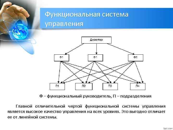 Функциональная система отделы. Функциональная система управления. Функциональность системы это. Отделы функциональной системы.