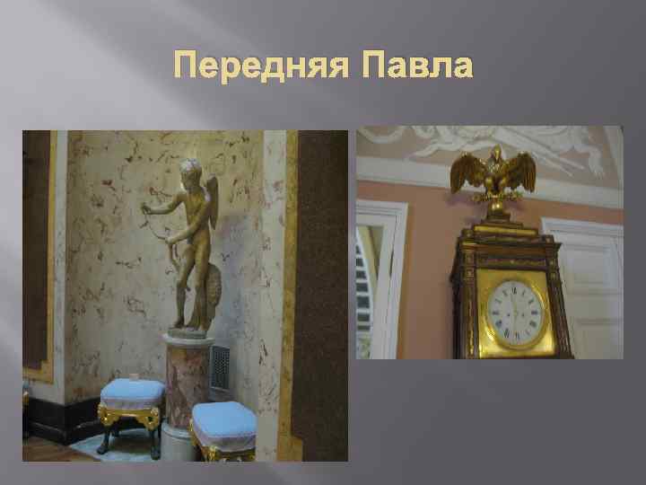 Передняя Павла 