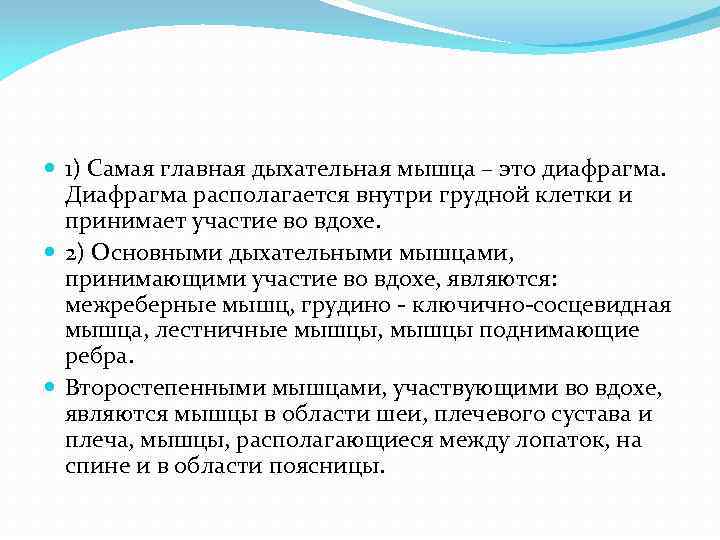  1) Самая главная дыхательная мышца – это диафрагма. Диафрагма располагается внутри грудной клетки
