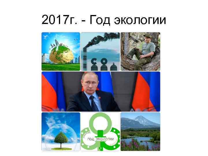 2017 г. - Год экологии 