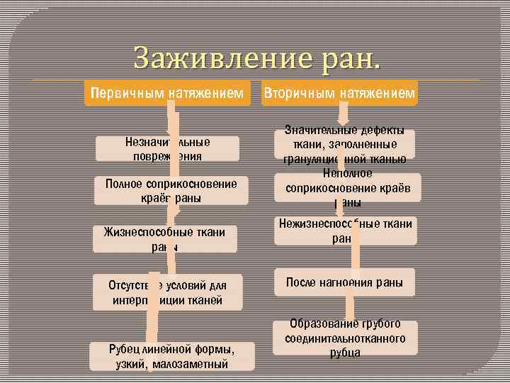 Заживление ран. Первичным натяжением Незначительные повреждения Полное соприкосновение краёв раны Жизнеспособные ткани раны Отсутствие