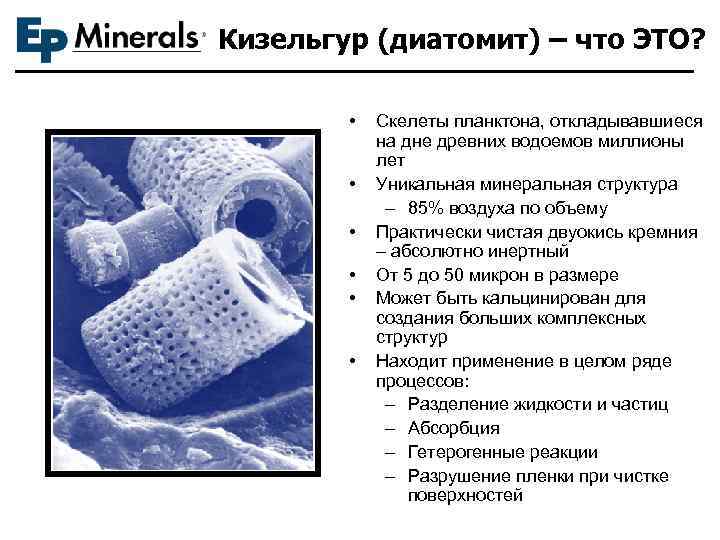 Кизельгур (диатомит) – что ЭТО? • • • Скелеты планктона, откладывавшиеся на дне древних