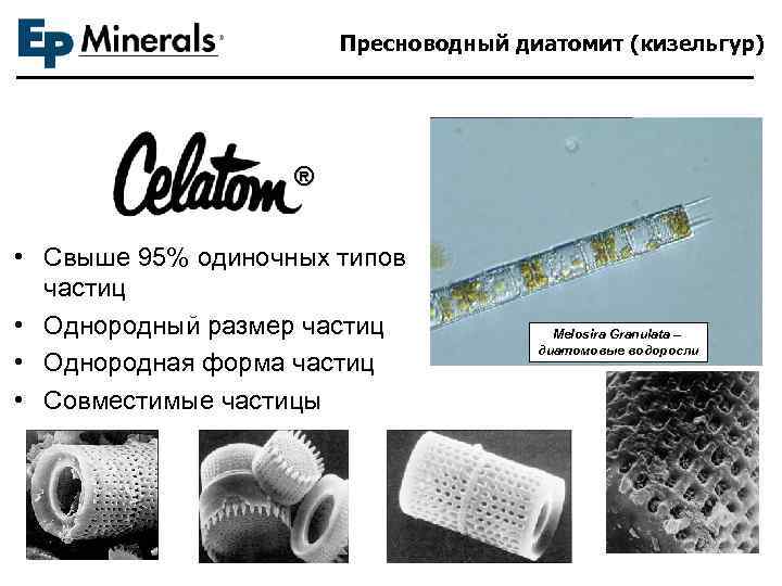 Пресноводный диатомит (кизельгур) ® • Свыше 95% одиночных типов частиц • Однородный размер частиц