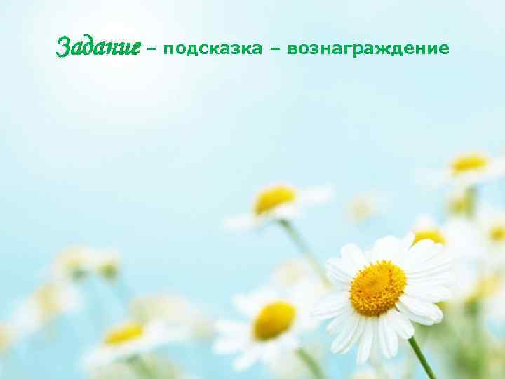 Задание – подсказка – вознаграждение 