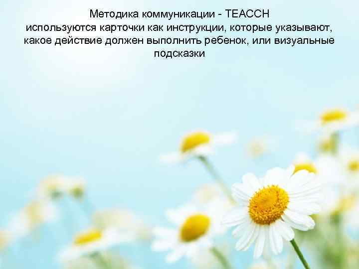 Методика коммуникации - ТЕАССН используются карточки как инструкции, которые указывают, какое действие должен выполнить