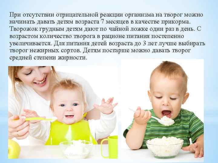 При отсутствии отрицательной реакции организма на творог можно начинать давать детям возраста 7 месяцев