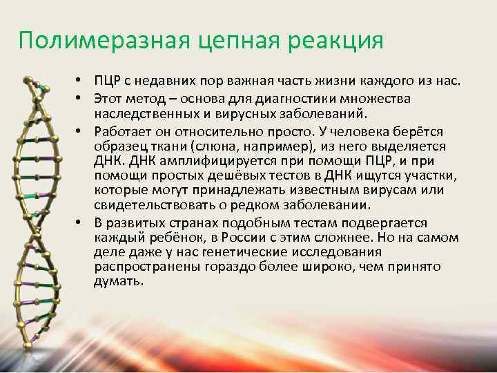 Полимеразная цепная реакция • ПЦР с недавних пор важная часть жизни каждого из нас.