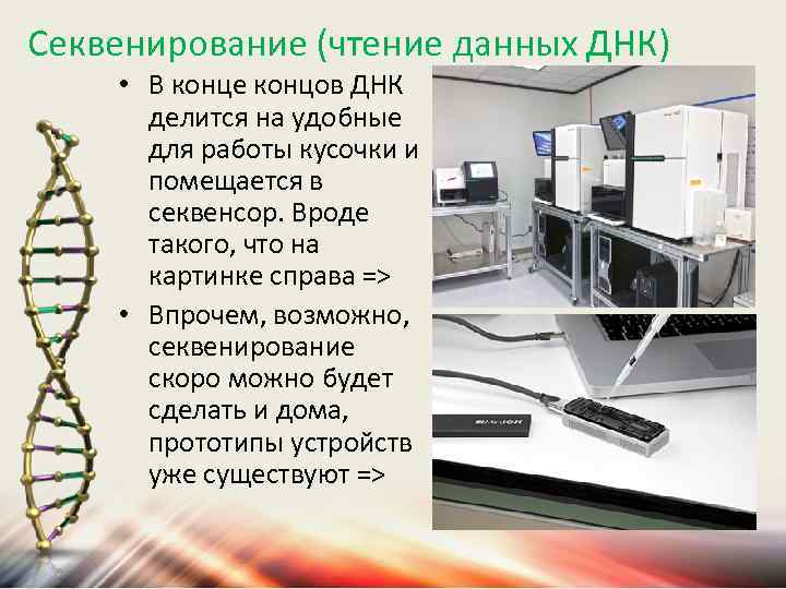 Секвенирование (чтение данных ДНК) • В конце концов ДНК делится на удобные для работы