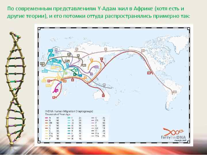 По современным представлениям Y-Адам жил в Африке (хотя есть и другие теории), и его