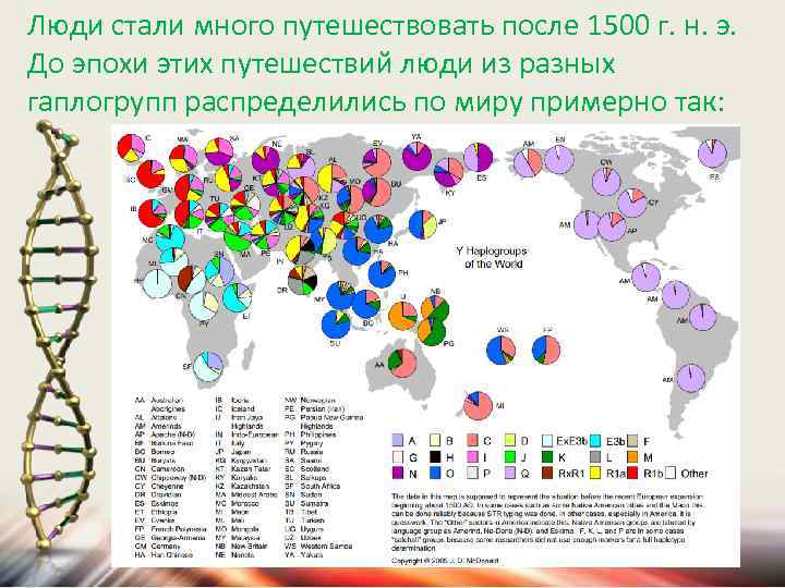 Люди стали много путешествовать после 1500 г. н. э. До эпохи этих путешествий люди